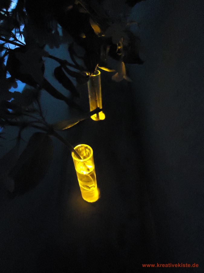 2-reagenzglas-blumenvase-holz-beleuchtung