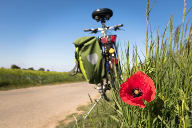 Fahrradwitze 1