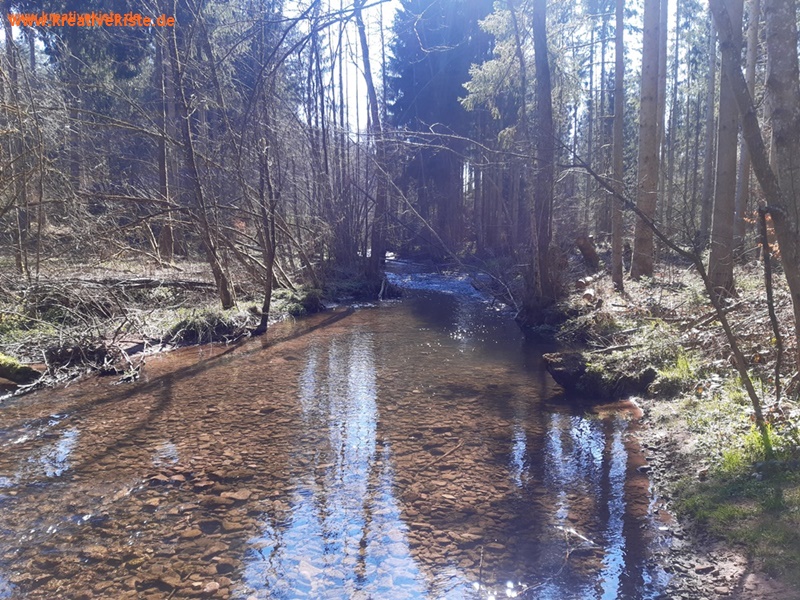 6 Pfalzgrafenweiler Häkel Tiere Waldweg Spaziergang Häkelpfad